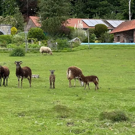 Les Jardins Du Chepson - Maison, Nature, Calme Pres De Namur ナミュール