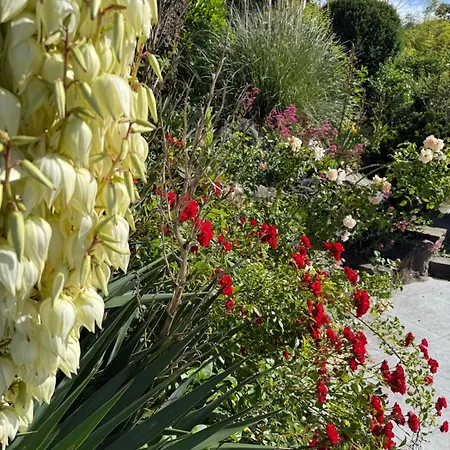Les Jardins Du Chepson - Maison, Nature, Calme Près De