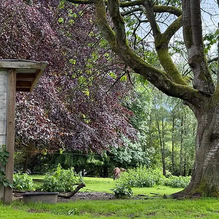 別荘 Les Jardins Du Chepson - Maison, Nature, Calme Pres De Namur *