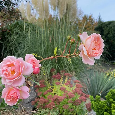 Les Jardins Du Chepson - Maison, Nature, Calme Pres De Namur * ナミュール