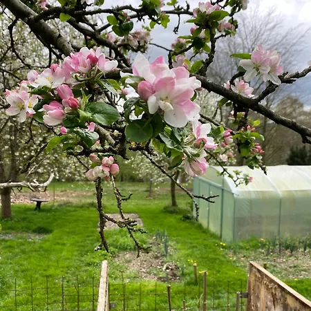 Les Jardins Du Chepson - Maison, Nature, Calme Pres De Namur